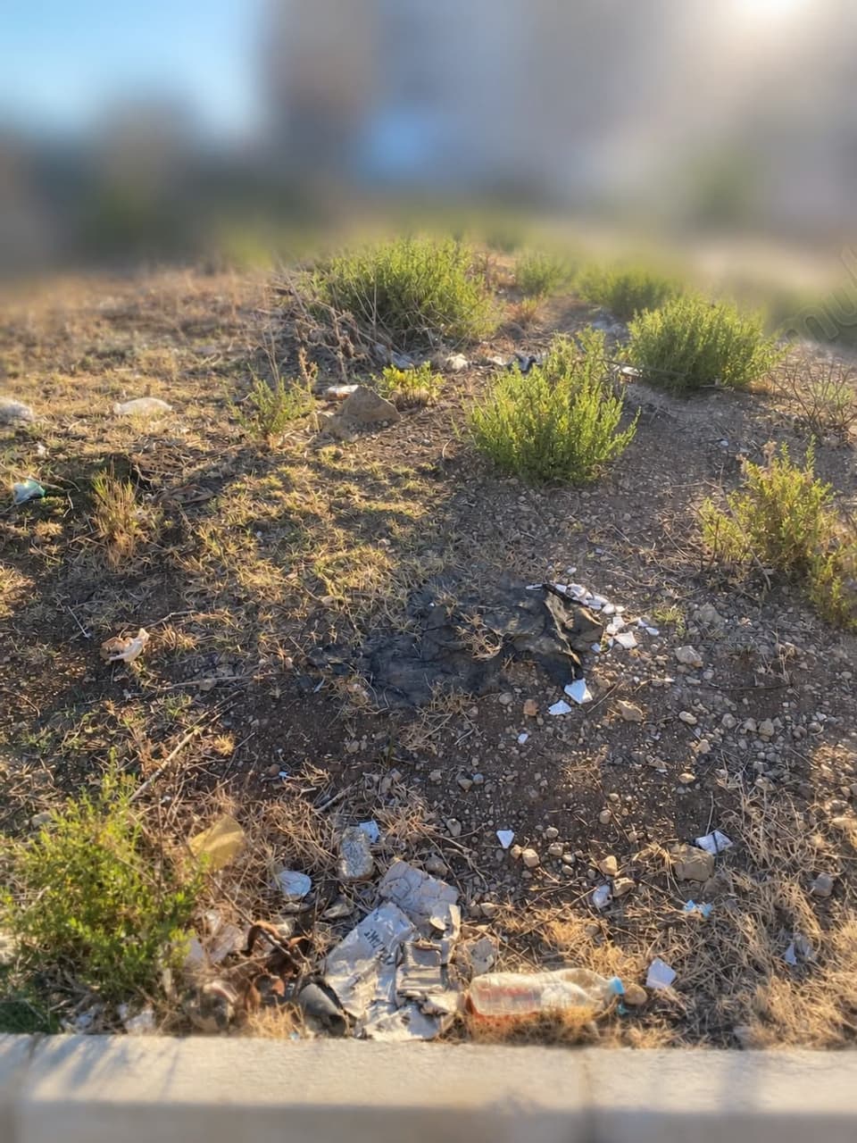 Terrain Gzenaya