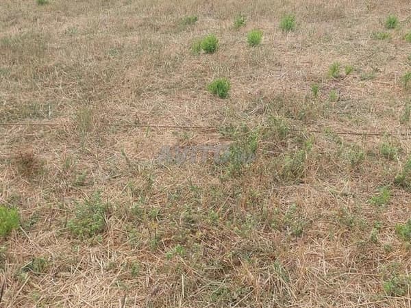 Plot of land of 200 m²