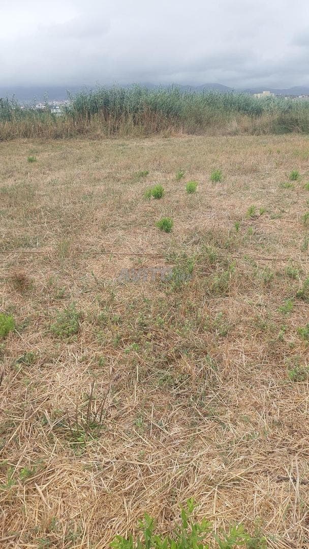 Parcela de terreno de 200 m²