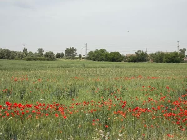 Titled Land For Sale 11 Ha km 35 Ait Ourire