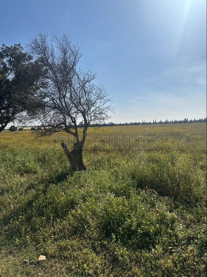 Beau terrain à la vente à Route de rabat. Surface de 80000 m²