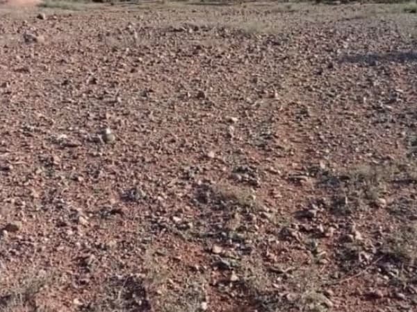 Terrains à la vente à la route de sidi Rehal