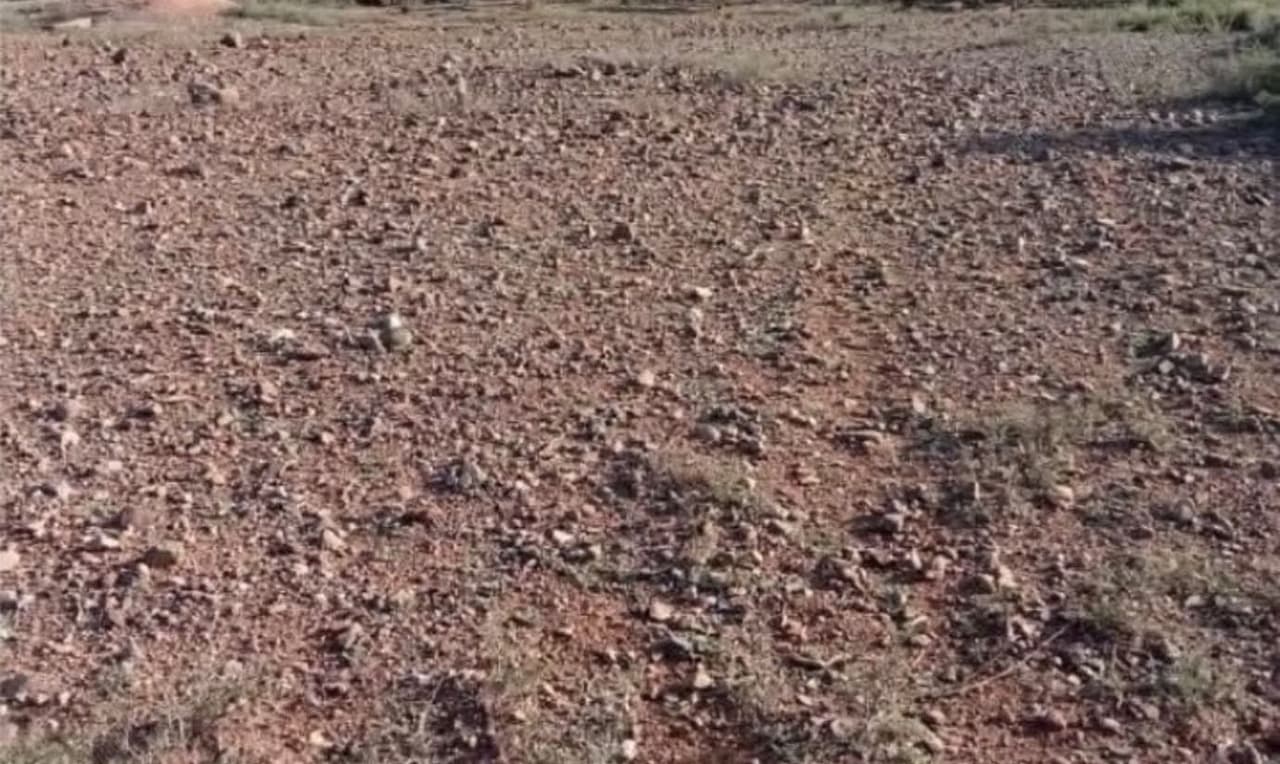 Terrains à la vente à la route de sidi Rehal