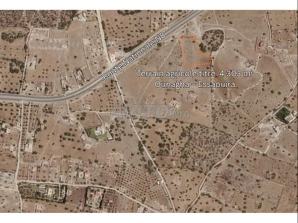 Landbouwgrond Essaouira Ounagha RN8 4303m²
