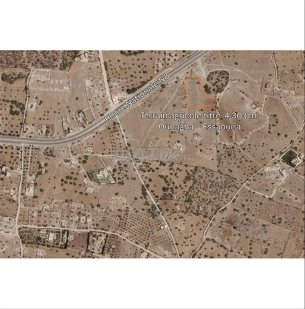 Terreno agricolo Essaouira Ounagha RN8 4303m²