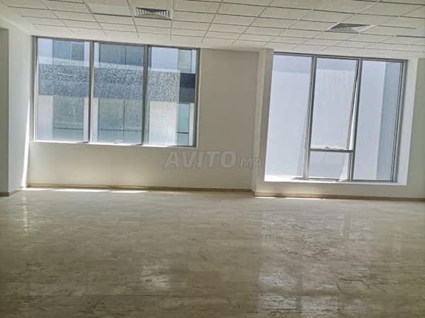 مكتب 73 متر مربع H Stand في سيدي معروف فلوريدا