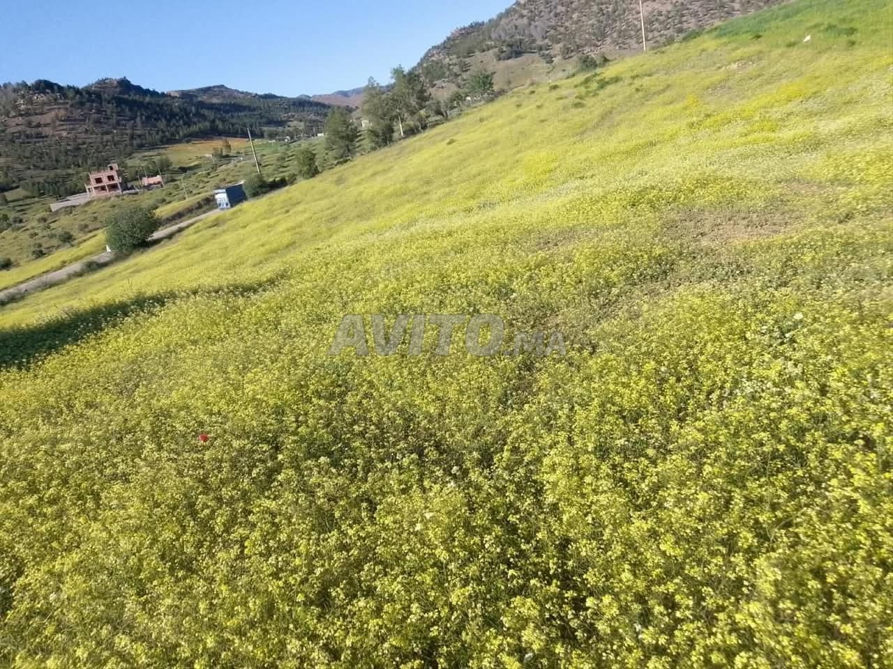 Terreno in vendita per gli interessati, prezzo ragionevole