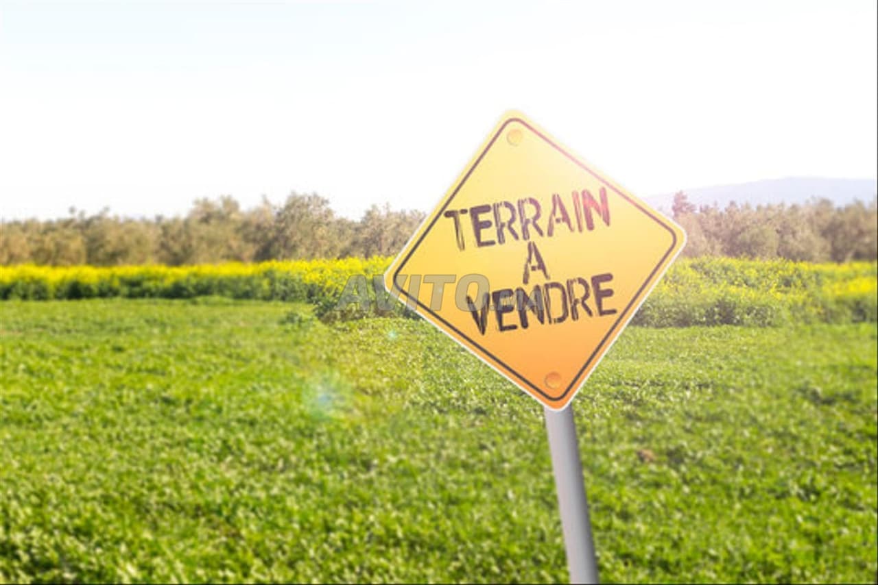 Terrain à vendre – Nakhil Almaz Façade