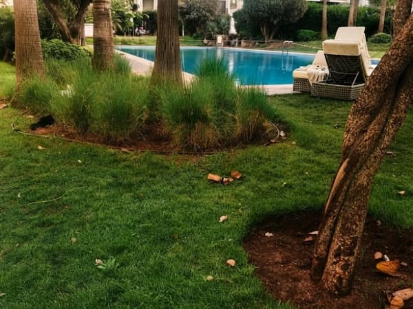 Furnished Duplex 2 Bedrooms in Residence with Pool