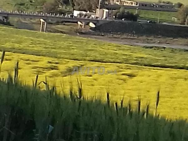 Ferme agricole titrée, Oued Leben Rte de Taounate