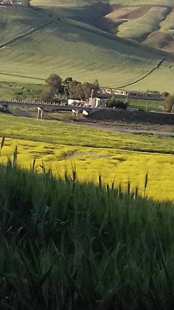 Titelde landbouwhoeve, Oued Leben Rte de Taounate