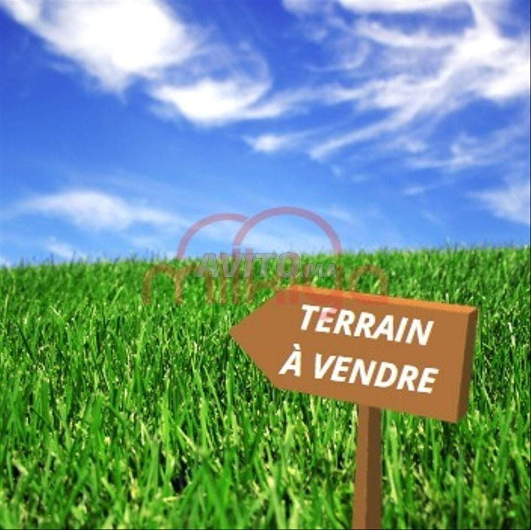 Vente Terrain nu à Safi