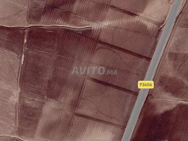 Terrain titré à vendre – 5 hectares près de Settat