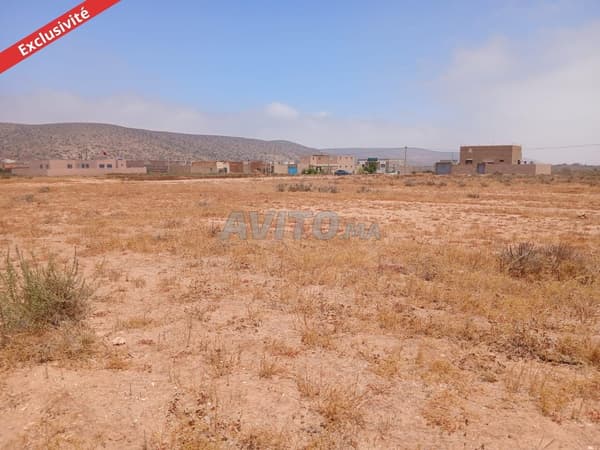 Bare land for sale in Tiznit