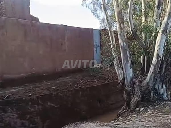 Registered land for sale
