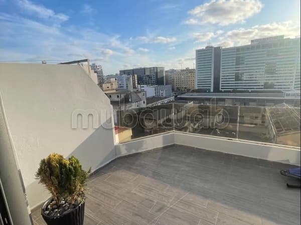 Lovely apartment on the 8th floor with no facing views for long-term rental in Belvédère