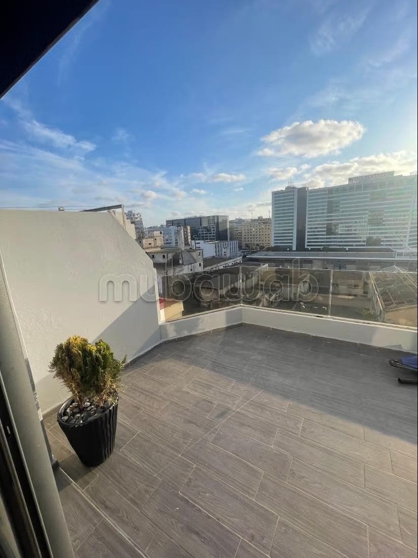Beautiful apartment on the 8th floor with no overlooking view for long-term rental in Belvédère