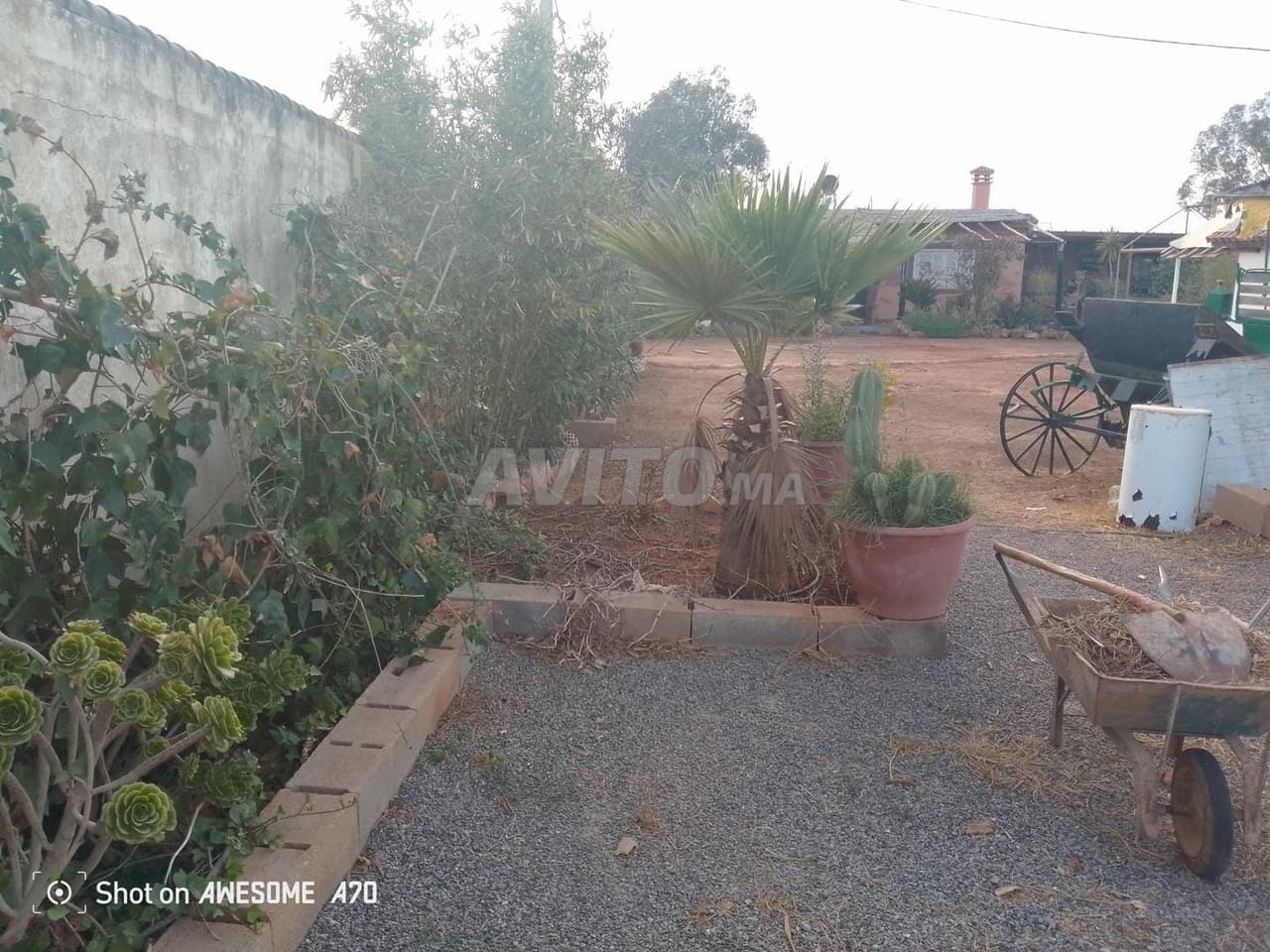 Titre en cours