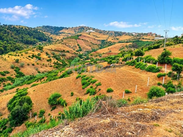 Terrain à AZLA