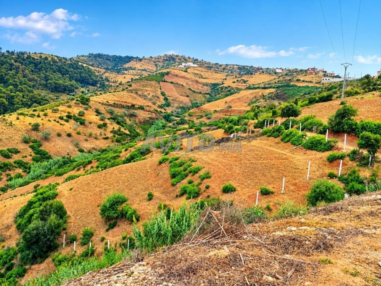 Terrain à AZLA