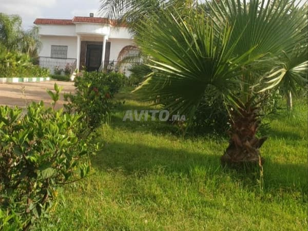 Titled farm for sale - Bouznika