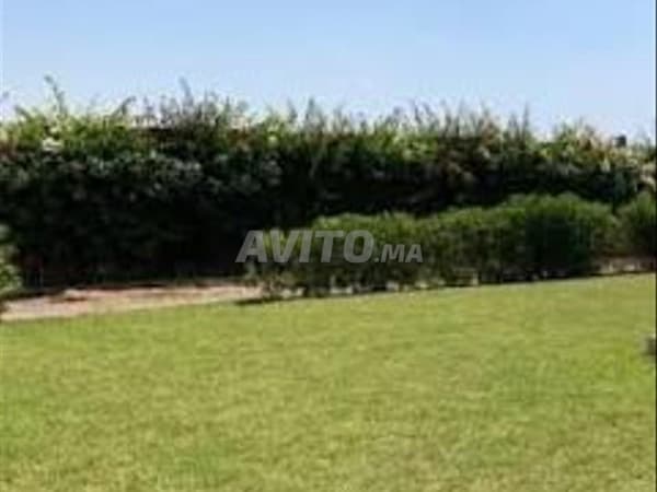 À VENDRE FERME À BENSLIMANE 10HECTARES