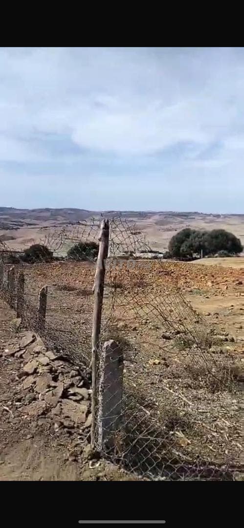Titled plot with panoramic view