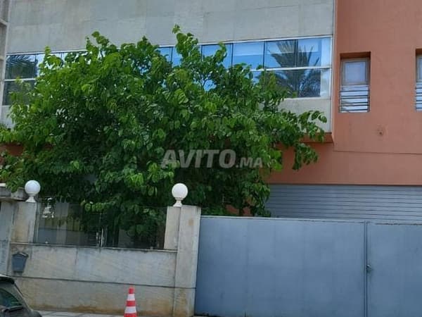 À louer 1er étage/285 m² usage professionnel rabat