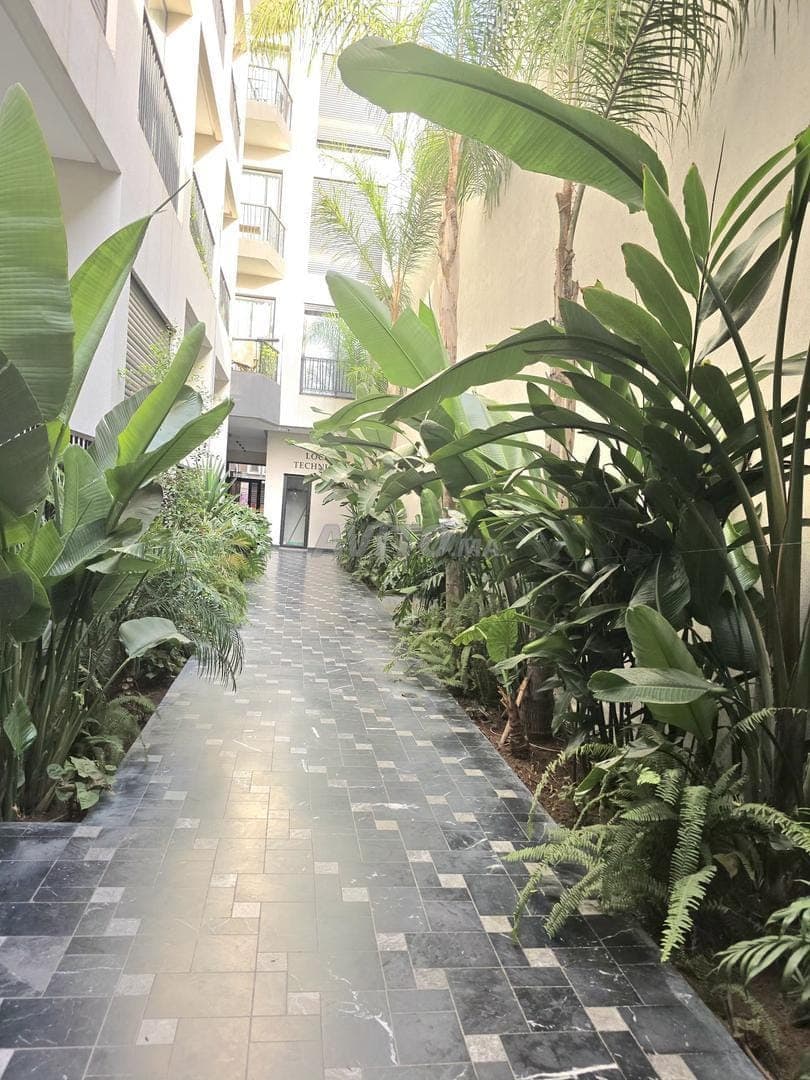 Nieuw Studio te Huur 45 m² - Tegenover Anfa Park