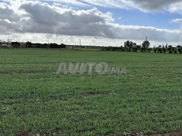 1.92 ha titré à Benslimane Ain Laksab