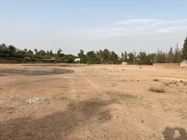 Terrain de 4900 m2 bien situé à Californie AFFAIRE