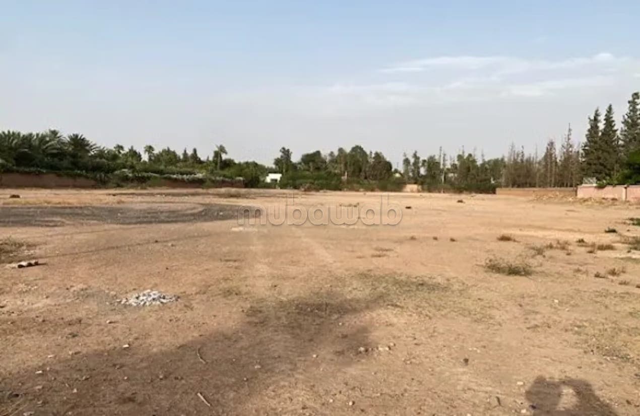 4900 m² Plot in Prime Location, Californie BARGAIN