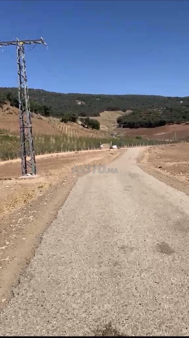 أرض فلاحية للبيع ببن سمي
