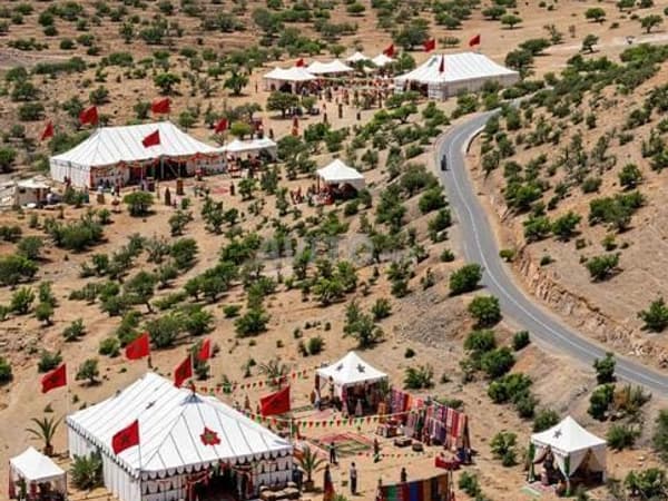Tiran titré à vendre à Alma Aourir