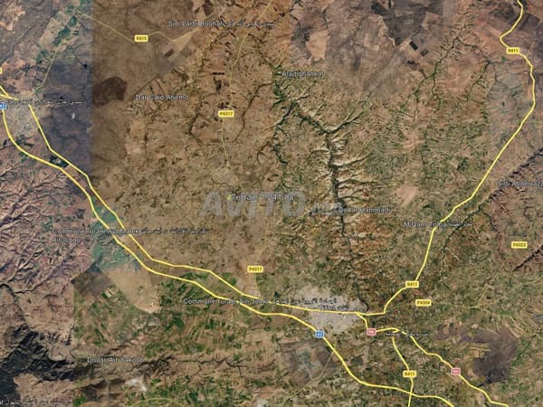 1.241 ha terrain agricole titré à Ain Johra, superficie