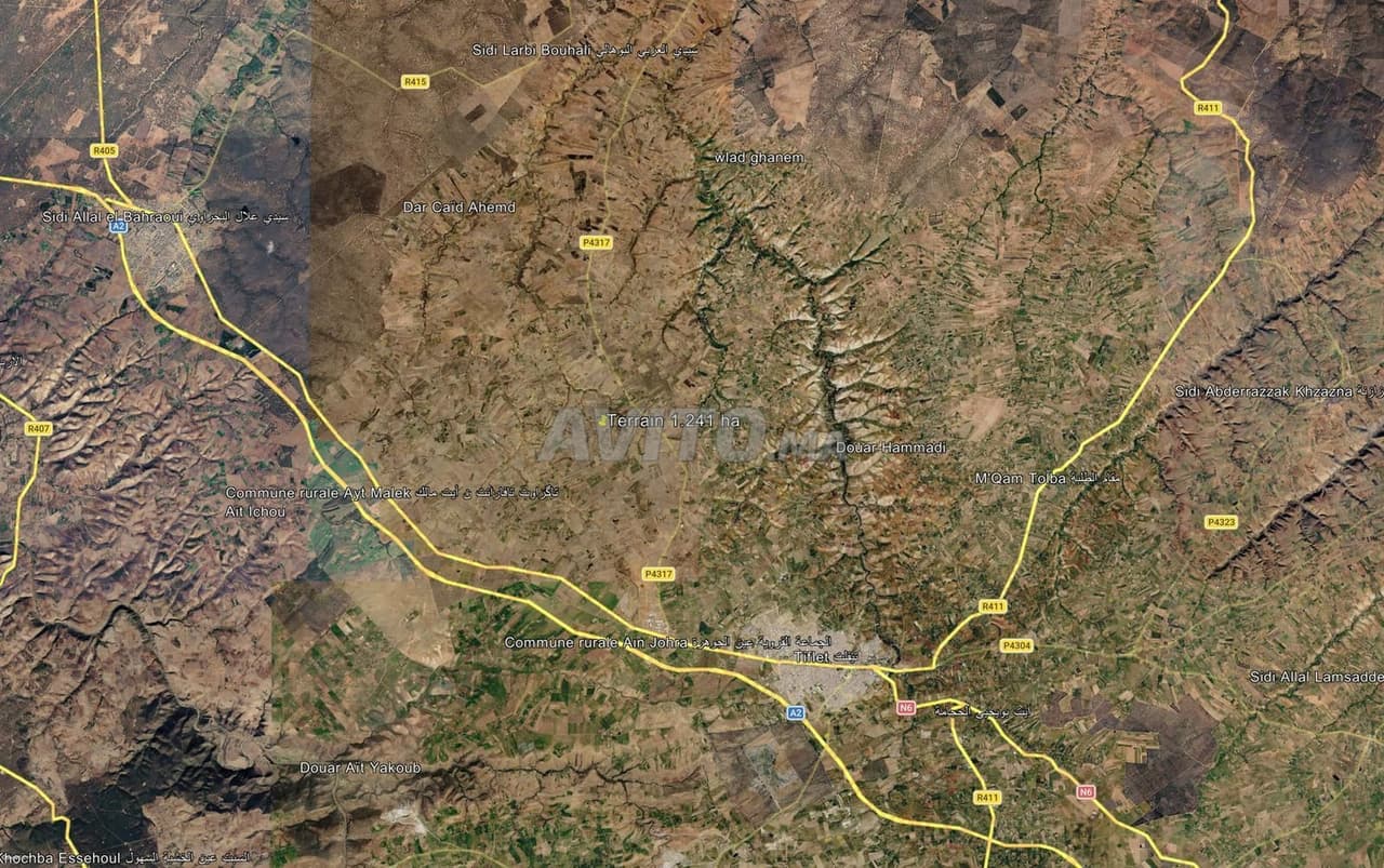 1.241 ha terrain agricole titré à Ain Johra, superficie