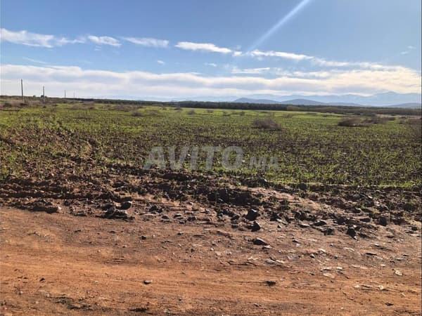Terre exceptionnelle 10 700 m² avec vue sur l'Atlas près de Marrakech
