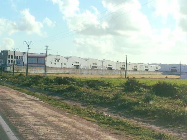 Terrain de 80500 m² à Lamkansa Ain Chok