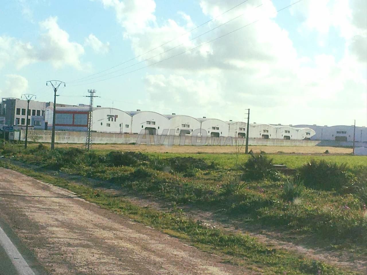 Terrain de 80500 m² à Lamkansa Ain Chok