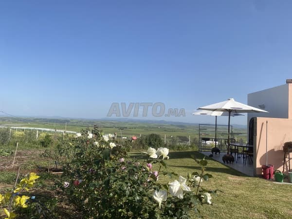 À 1h de Rabat – Belle ferme titrée de 1,23 ha
