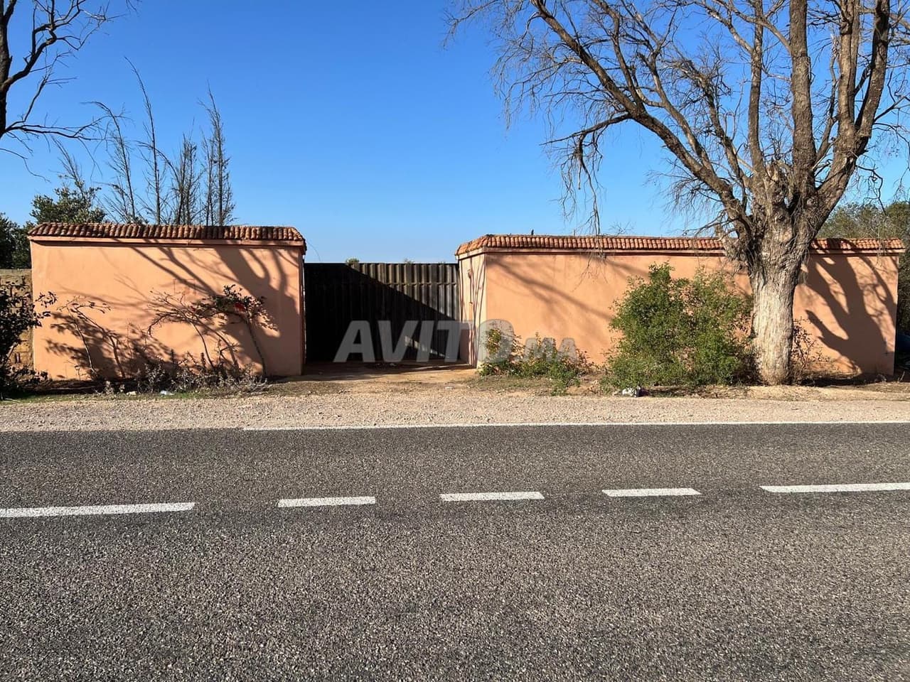 Landbouwgrond van 1,5 Ha te koop in TNIN CHTOUKA