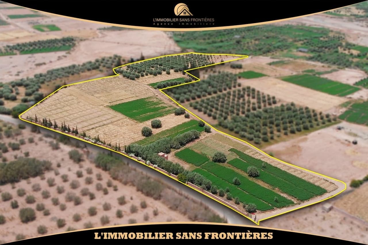 Ferme à vendre — 4 Hectare – Souihla, Marrakech