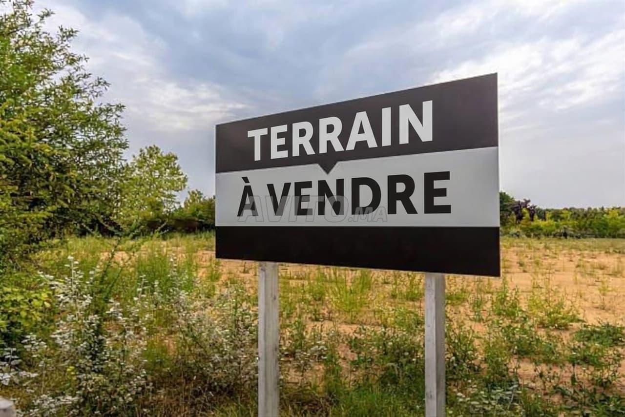 Tamesna villa plot for sale