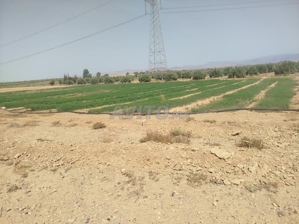 Terreno agricolo a ولجمان