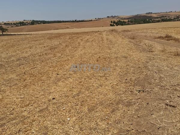 🔥 Terreno con titolo e pianeggiante vicino alla strada, presso Sidi Bettach