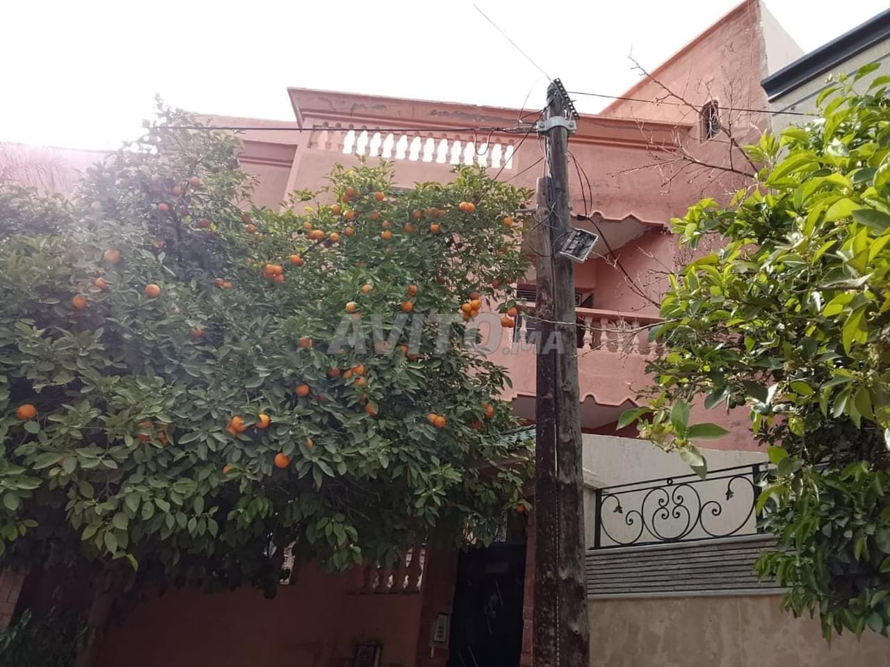 فيلا مراكش في قلب المدينة