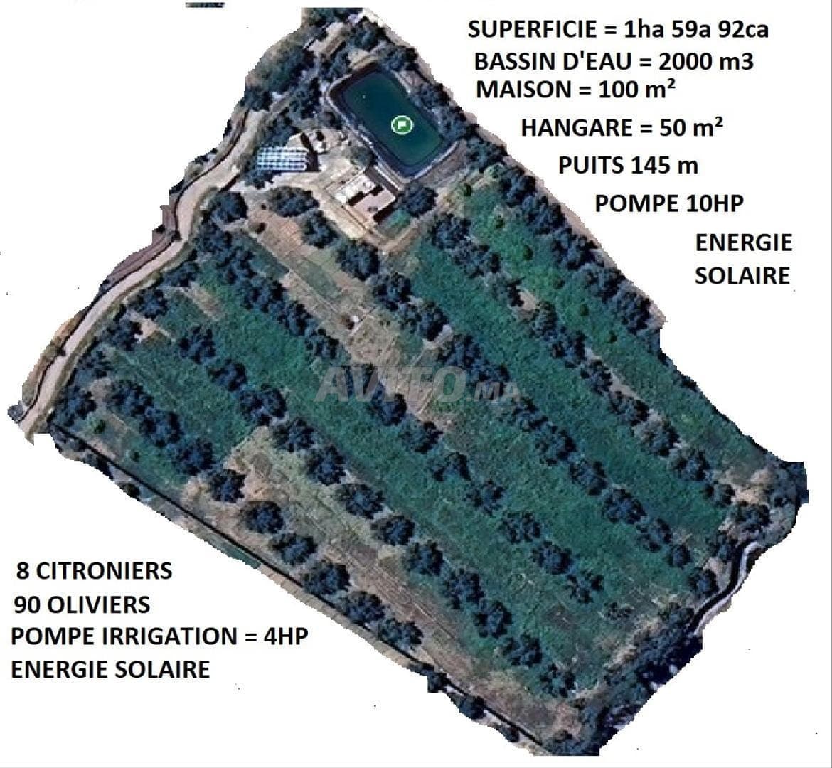 Boerderij te koop