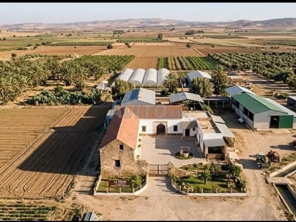 Une opportunité : ferme Tamaris