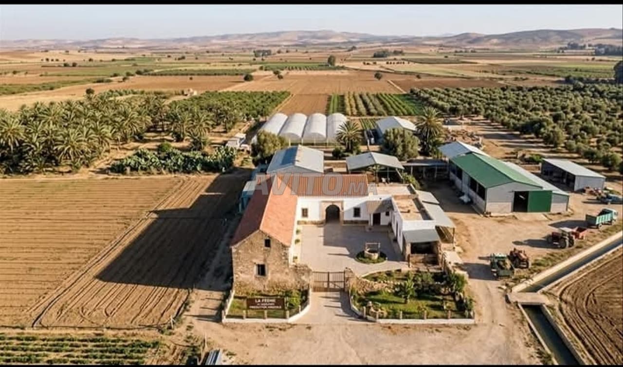 Une opportunité : ferme Tamaris