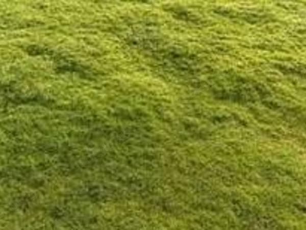 Terreno en venta Hermitage R4